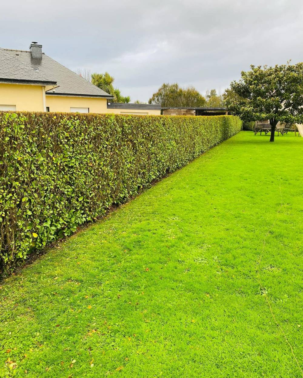après entretien de jardin