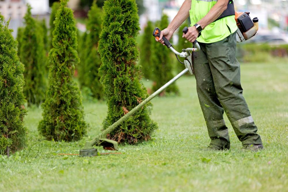entretien de jardins près de Saint-Pol-de-Léon