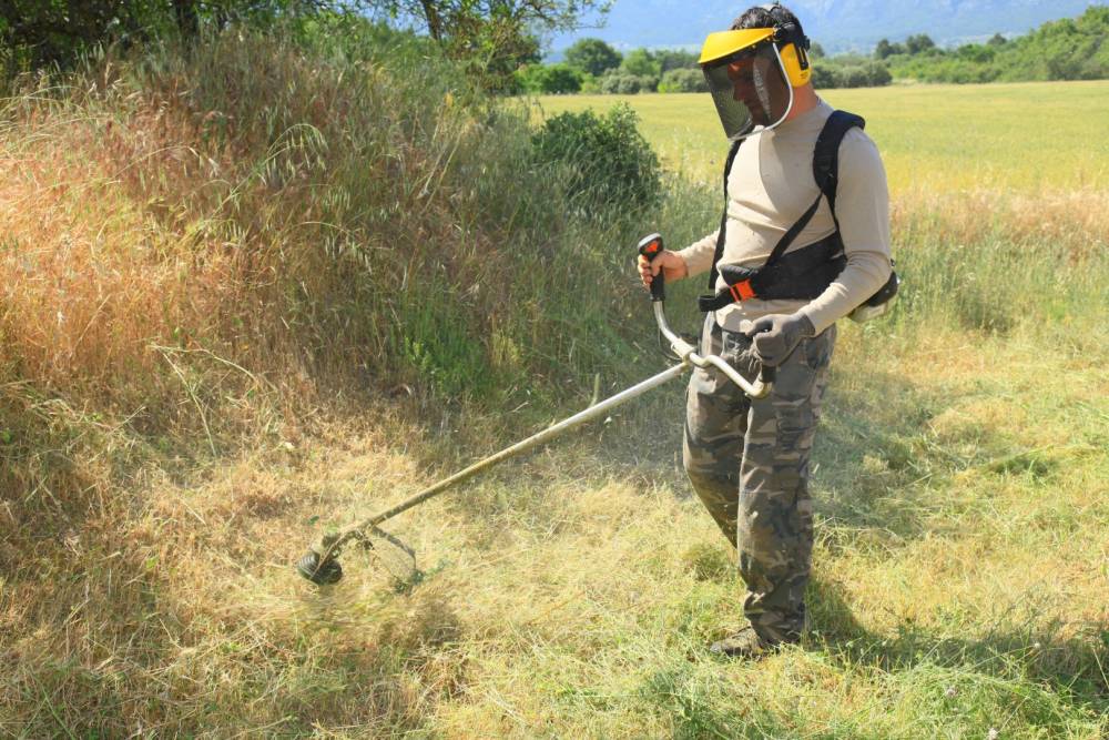 débroussaillage près de Saint-Pol-de-Léon